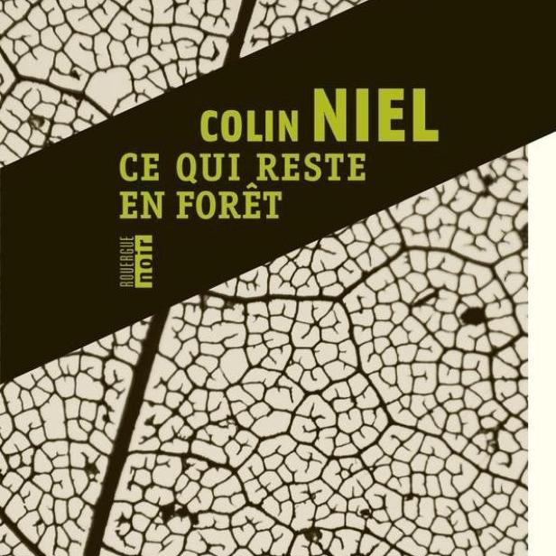 reste-foret2-1405599-616x0
